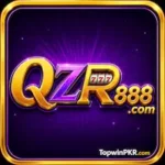 QZR888 Game Logo Icon