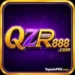 QZR888 Game Logo Icon