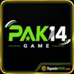 PAK14 Game Logo Icon Image