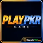 PLAYPKR Game Logo Icon Image