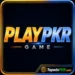 PLAYPKR Game Logo Icon Image