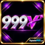 999V Logo Icon Image