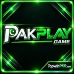Pak Play Game Logo Icon Image